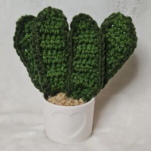 Handcrafted Crochet Snake Plant With Heart Planter